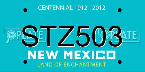 STZ503 New Mexico License Plate
