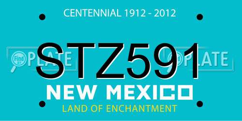 STZ591 New Mexico License Plate