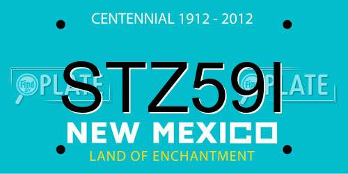 STZ59I New Mexico License Plate