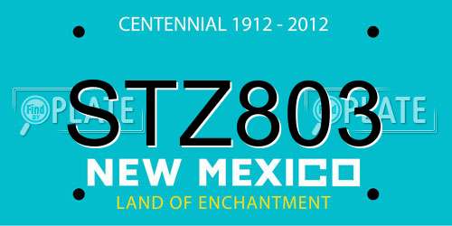 STZ803 New Mexico License Plate