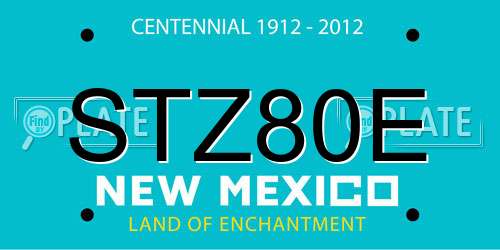 STZ80E New Mexico License Plate