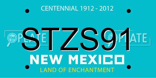 STZS91 New Mexico License Plate
