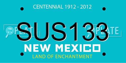 SUS133 New Mexico License Plate