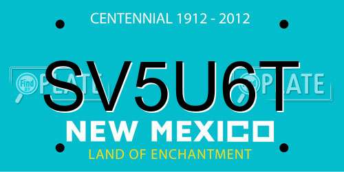 SV5U6T New Mexico License Plate