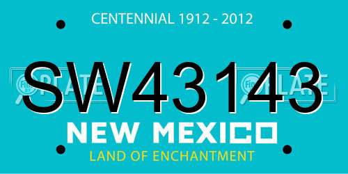 SW43143 New Mexico License Plate