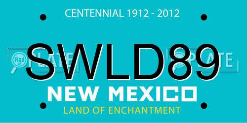 SWLD89 New Mexico License Plate