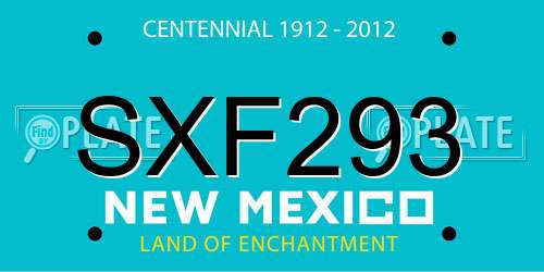 SXF293 New Mexico License Plate