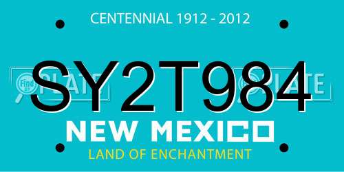 SY2T984 New Mexico License Plate