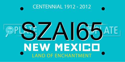 SZAI65 New Mexico License Plate
