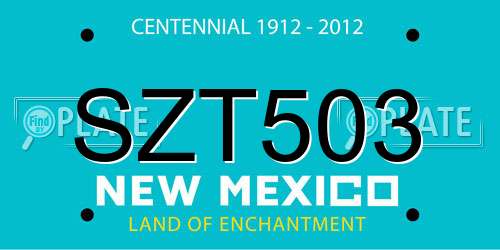 SZT503 New Mexico License Plate