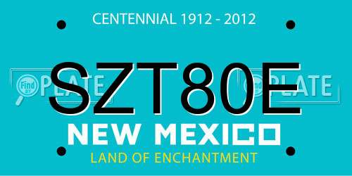 SZT80E New Mexico License Plate