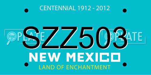 SZZ503 New Mexico License Plate