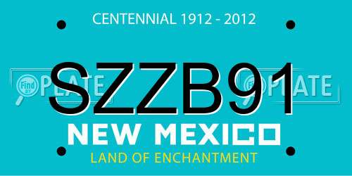 SZZB91 New Mexico License Plate