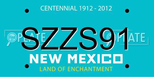 SZZS91 New Mexico License Plate