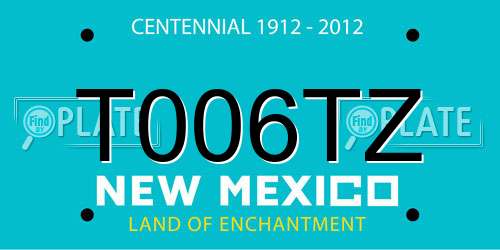 T006TZ New Mexico License Plate