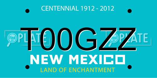 T00GZZ New Mexico License Plate