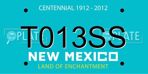 T013SS New Mexico License Plate