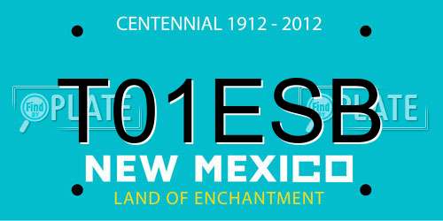 T01ESB New Mexico License Plate