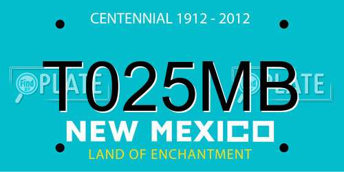 T025MB New Mexico License Plate