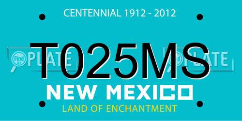 T025MS New Mexico License Plate