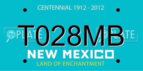 T028MB New Mexico License Plate