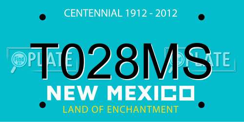 T028MS New Mexico License Plate