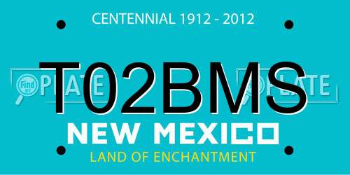 T02BMS New Mexico License Plate
