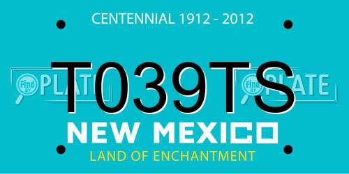 T039TS New Mexico License Plate