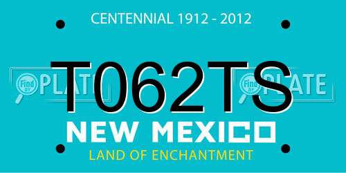 T062TS New Mexico License Plate