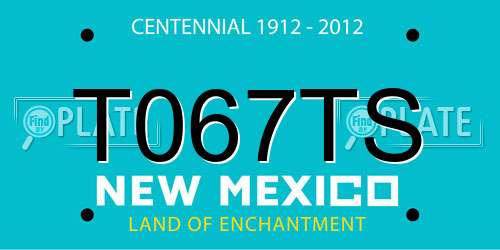 T067TS New Mexico License Plate