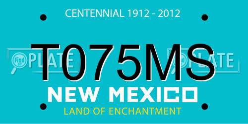 T075MS New Mexico License Plate