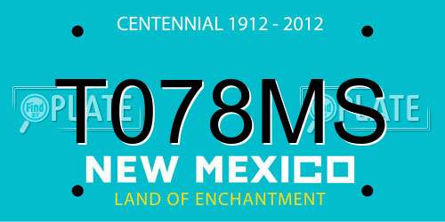 T078MS New Mexico License Plate