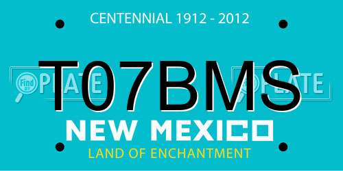 T07BMS New Mexico License Plate