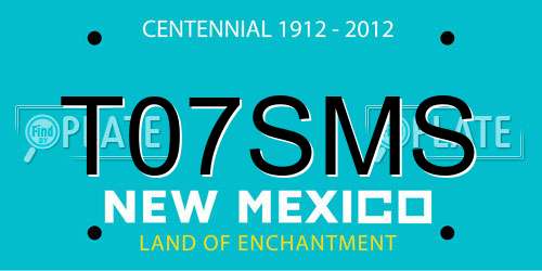 T07SMS New Mexico License Plate