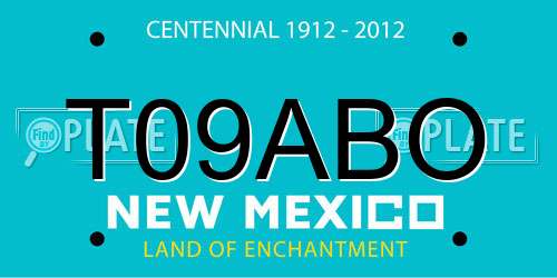 T09ABO New Mexico License Plate