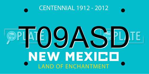 T09ASD New Mexico License Plate