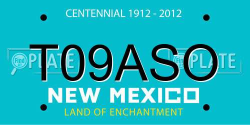 T09ASO New Mexico License Plate