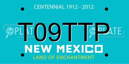 T09TTP New Mexico License Plate