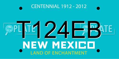 T124EB New Mexico License Plate