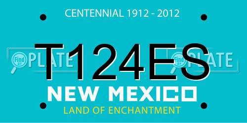 T124ES New Mexico License Plate