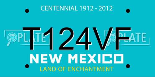 T124VF New Mexico License Plate