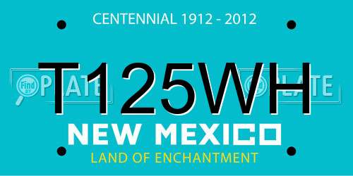 T125WH New Mexico License Plate