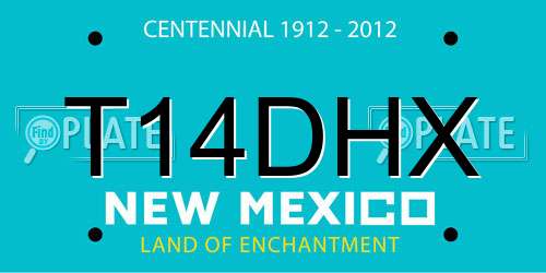 T14DHX New Mexico License Plate