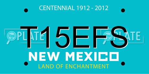 T15EFS New Mexico License Plate