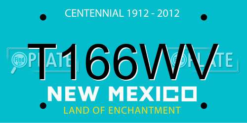 T166WV New Mexico License Plate