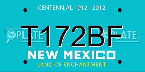 T172BF New Mexico License Plate