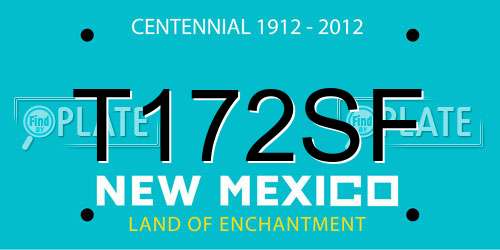 T172SF New Mexico License Plate