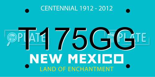 T175GG New Mexico License Plate