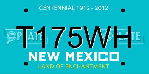 T175WH New Mexico License Plate