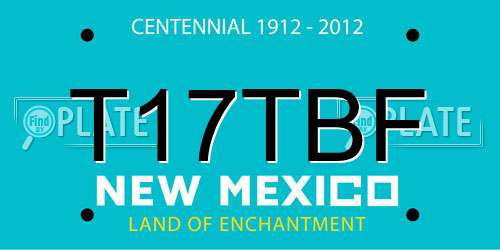 T17TBF New Mexico License Plate